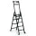 Дерев'яна драбина Ла Скала 5.0 (венге)